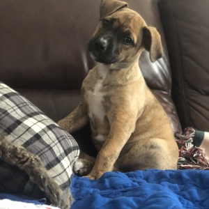 Fundraising Page: Kelli Bergeman